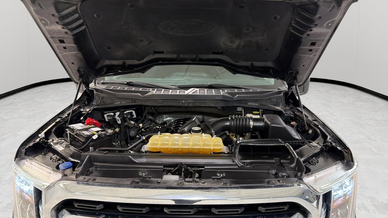 2021 Ford F-150 XLT San Antonio TX