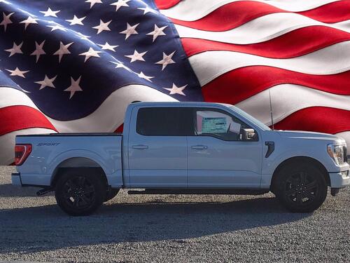 2021 Ford F-150 XLT Tampa FL 2021 Ford F-150 XLT Tampa FL