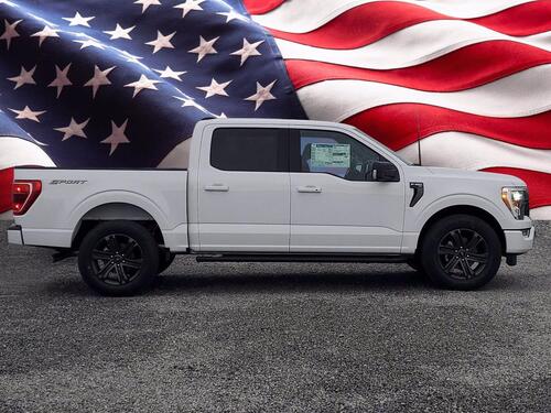 2021 Ford F-150 XLT Tampa FL 2021 Ford F-150 XLT Tampa FL