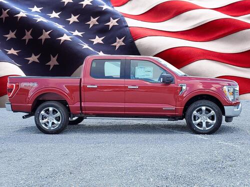 2021 Ford F-150 XLT Tampa FL 2021 Ford F-150 XLT Tampa FL