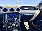 2021 Ford Mustang EcoBoost  TX 2021 Ford Mustang EcoBoost  TX