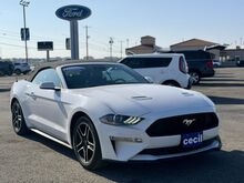 2021_Ford_Mustang_EcoBoost_  TX