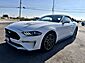 2021 Ford Mustang EcoBoost  TX 2021 Ford Mustang EcoBoost  TX
