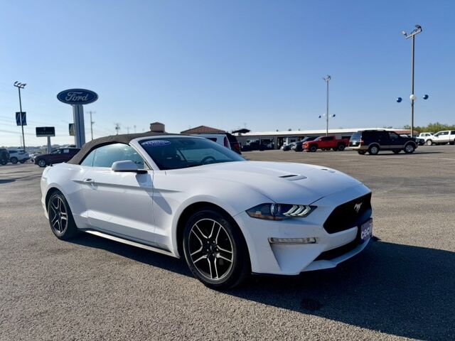 2021 Ford Mustang EcoBoost  TX 2021 Ford Mustang EcoBoost  TX