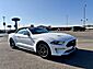 2021 Ford Mustang EcoBoost  TX 2021 Ford Mustang EcoBoost  TX