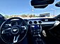 2021 Ford Mustang EcoBoost  TX 2021 Ford Mustang EcoBoost  TX
