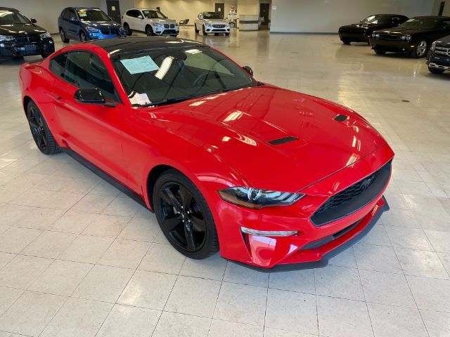 2021 Ford Mustang EcoBoost Fastback Charlotte NC