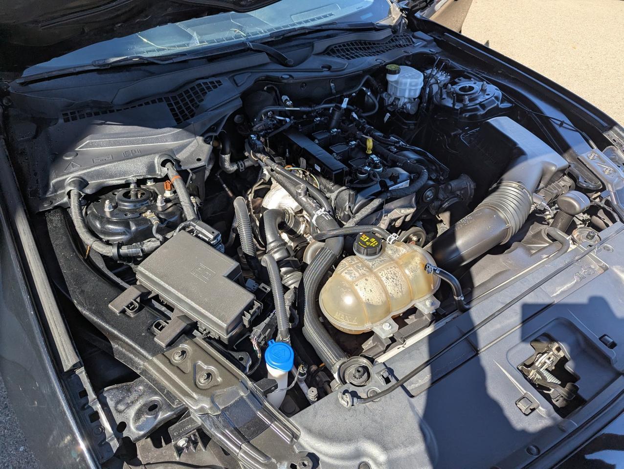 2021 Ford Mustang EcoBoost Grand Junction CO
