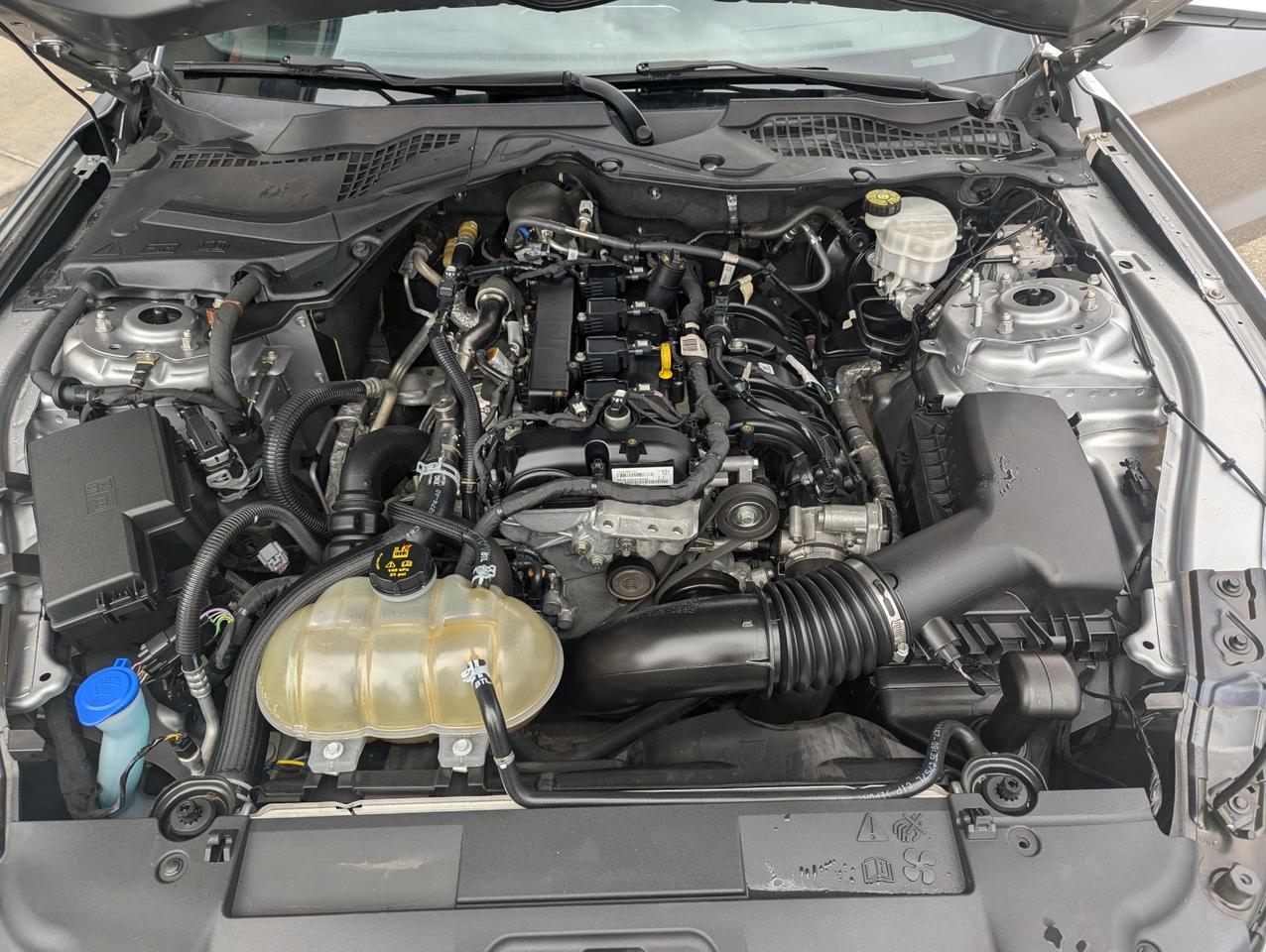 2021 Ford Mustang EcoBoost Premium Grand Junction CO