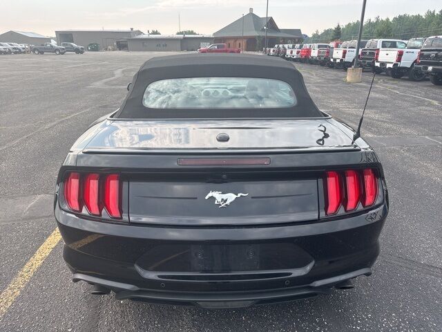 2021 Ford Mustang EcoBoost Premium Pine River MN