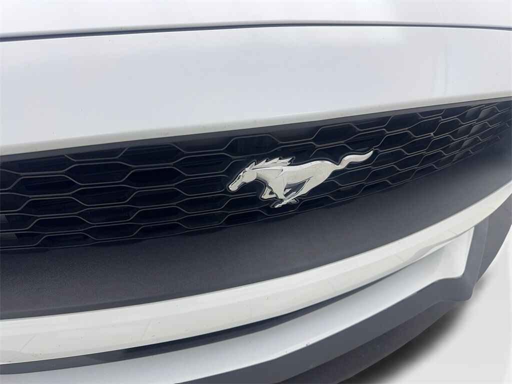 2021 Ford Mustang EcoBoost Premium photo 21