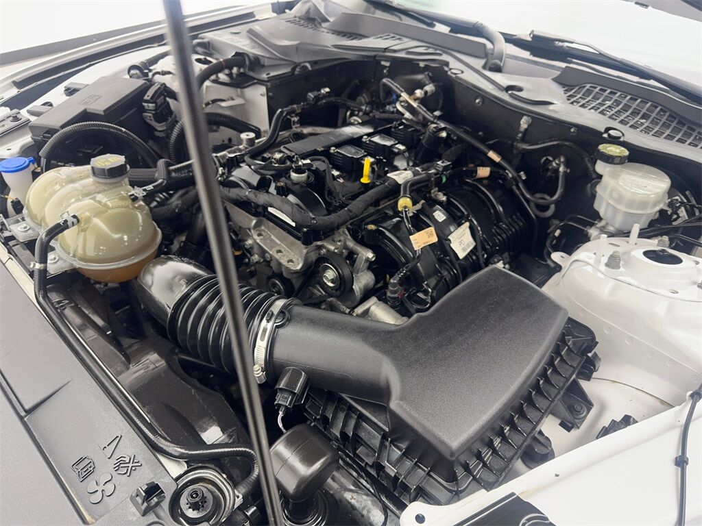 2021 Ford Mustang EcoBoost Premium photo 64