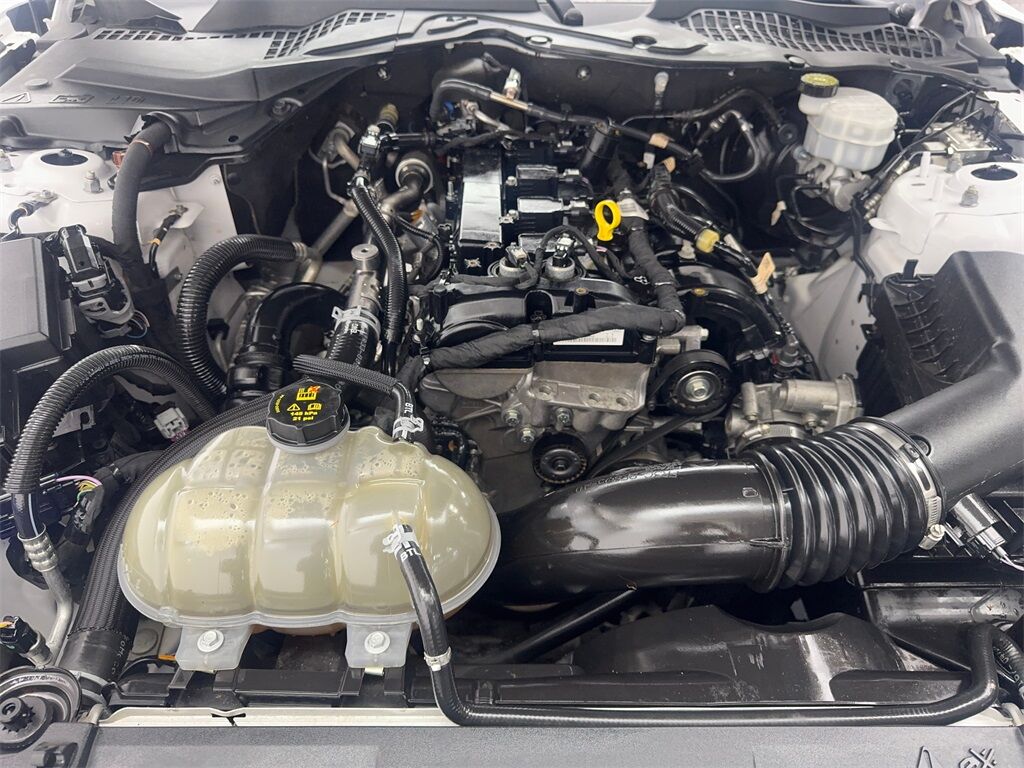 2021 Ford Mustang EcoBoost Premium photo 65