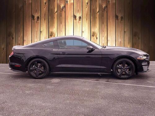 2021 Ford Mustang EcoBoost Premium Tampa FL 2021 Ford Mustang EcoBoost Premium Tampa FL