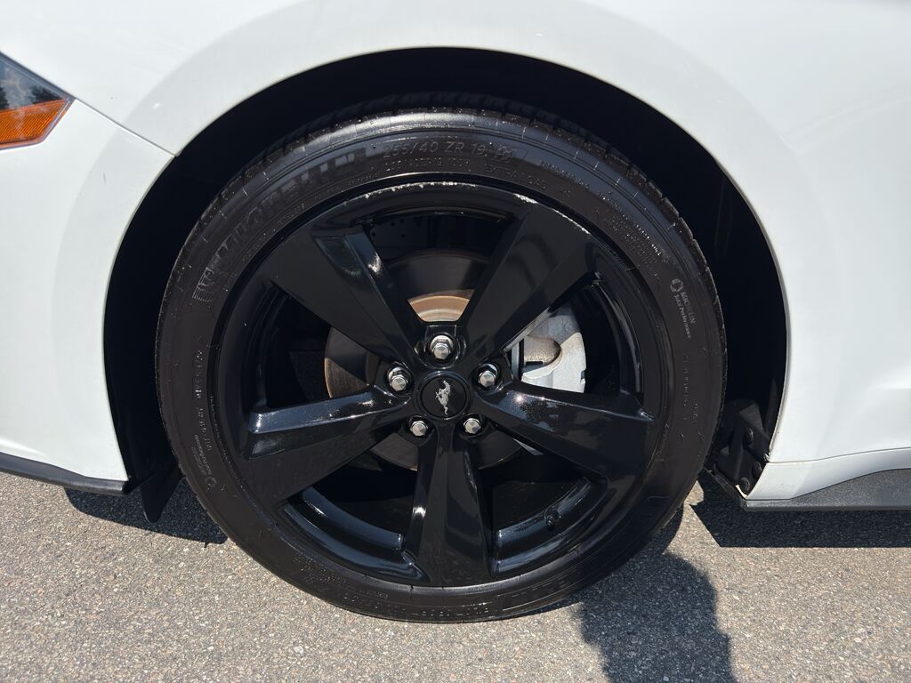 2021 Ford Mustang EcoBoost Premium Wilmington NC