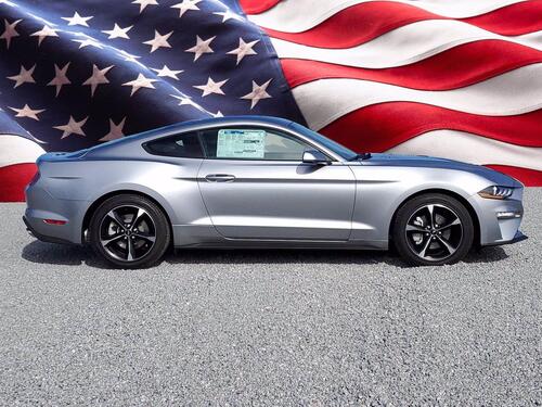 2021 Ford Mustang EcoBoost Tampa FL 2021 Ford Mustang EcoBoost Tampa FL