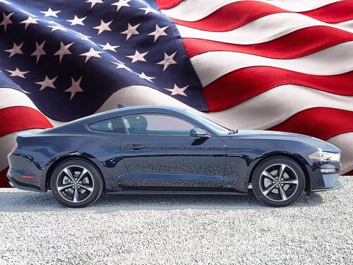 2021 Ford Mustang EcoBoost Tampa FL 2021 Ford Mustang EcoBoost Tampa FL