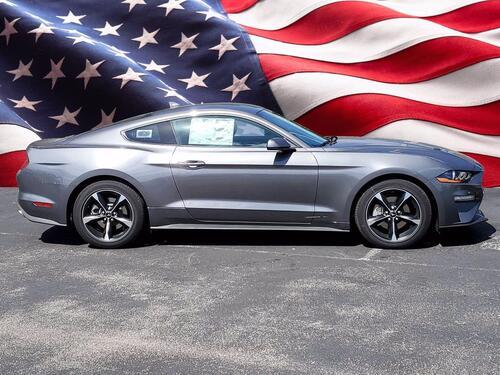 2021 Ford Mustang EcoBoost Tampa FL 2021 Ford Mustang EcoBoost Tampa FL