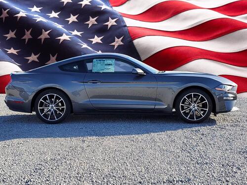 2021 Ford Mustang EcoBoost Tampa FL 2021 Ford Mustang EcoBoost Tampa FL