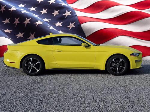2021 Ford Mustang EcoBoost Tampa FL 2021 Ford Mustang EcoBoost Tampa FL