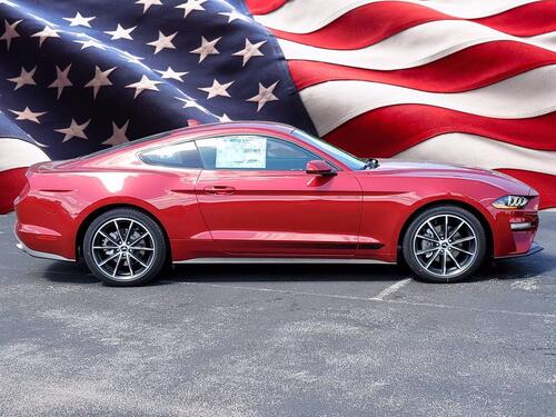 2021 Ford Mustang EcoBoost Tampa FL 2021 Ford Mustang EcoBoost Tampa FL