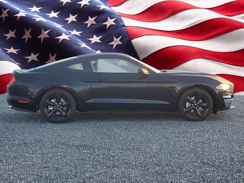 2021 Ford Mustang EcoBoost Tampa FL 2021 Ford Mustang EcoBoost Tampa FL