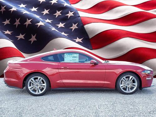 2021 Ford Mustang EcoBoost Tampa FL 2021 Ford Mustang EcoBoost Tampa FL