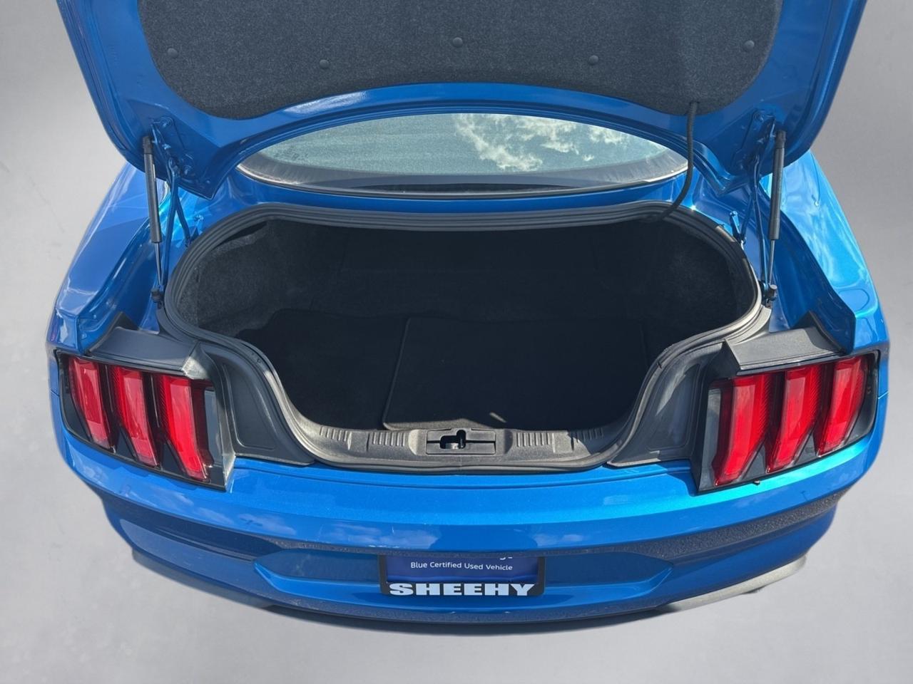 2021 Ford Mustang EcoBoost Richmond VA