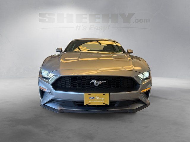 2021 Ford Mustang EcoBoost Richmond VA