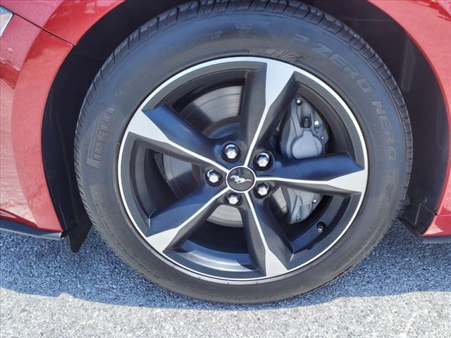 2021 Ford Mustang GT Brownsville TX