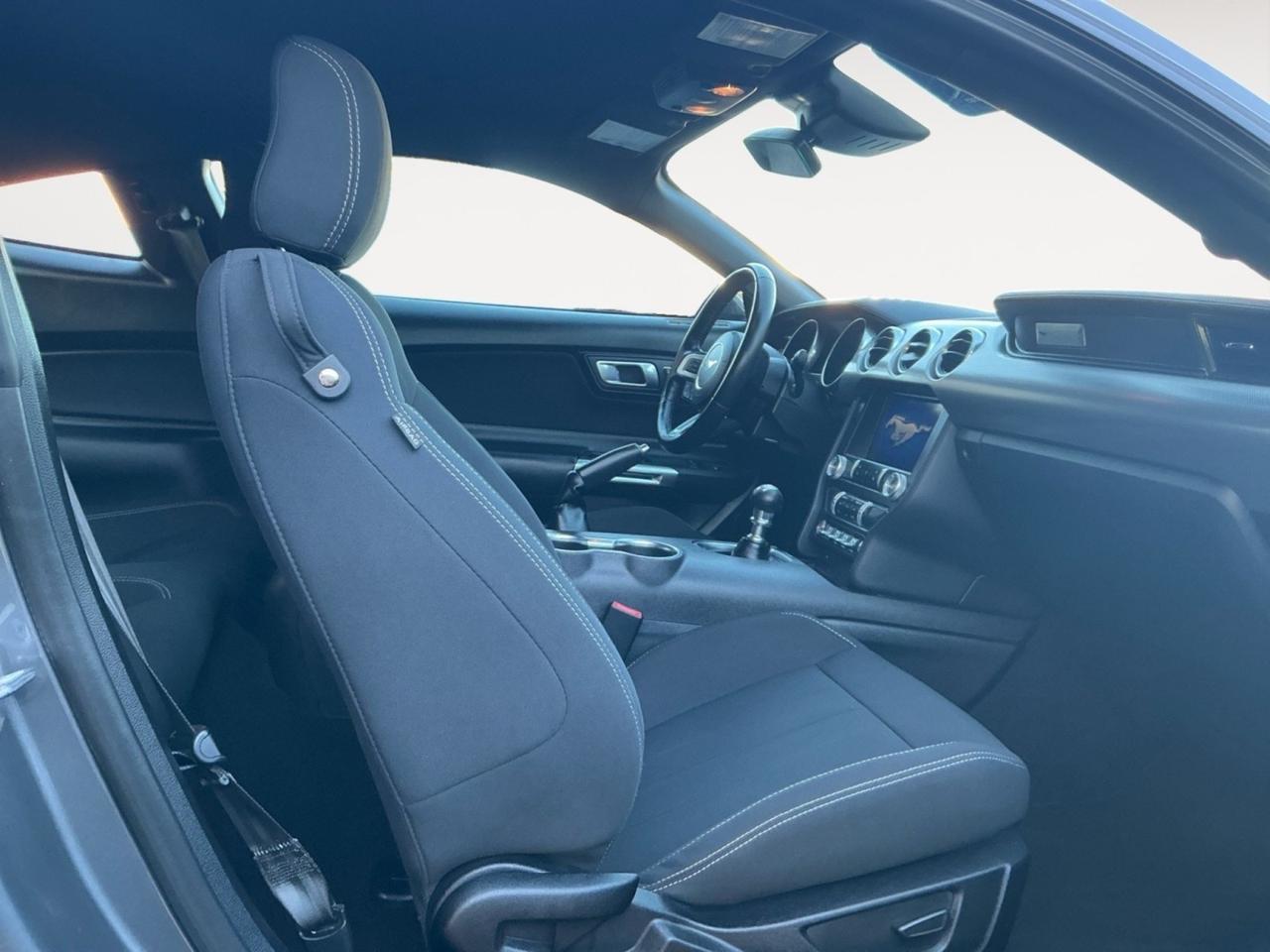 2021 Ford Mustang GT, APPLE CARPLAY/ANDROID AUTO, BACKUP CAMERA, POWER MIRRORS, REMOTE START, BLUETOOTH, CLEAN CARFAX, LOW MILES, MAKE YOUR DREAM OF OWNING A MUSTANG COME TRUE! Norfolk VA