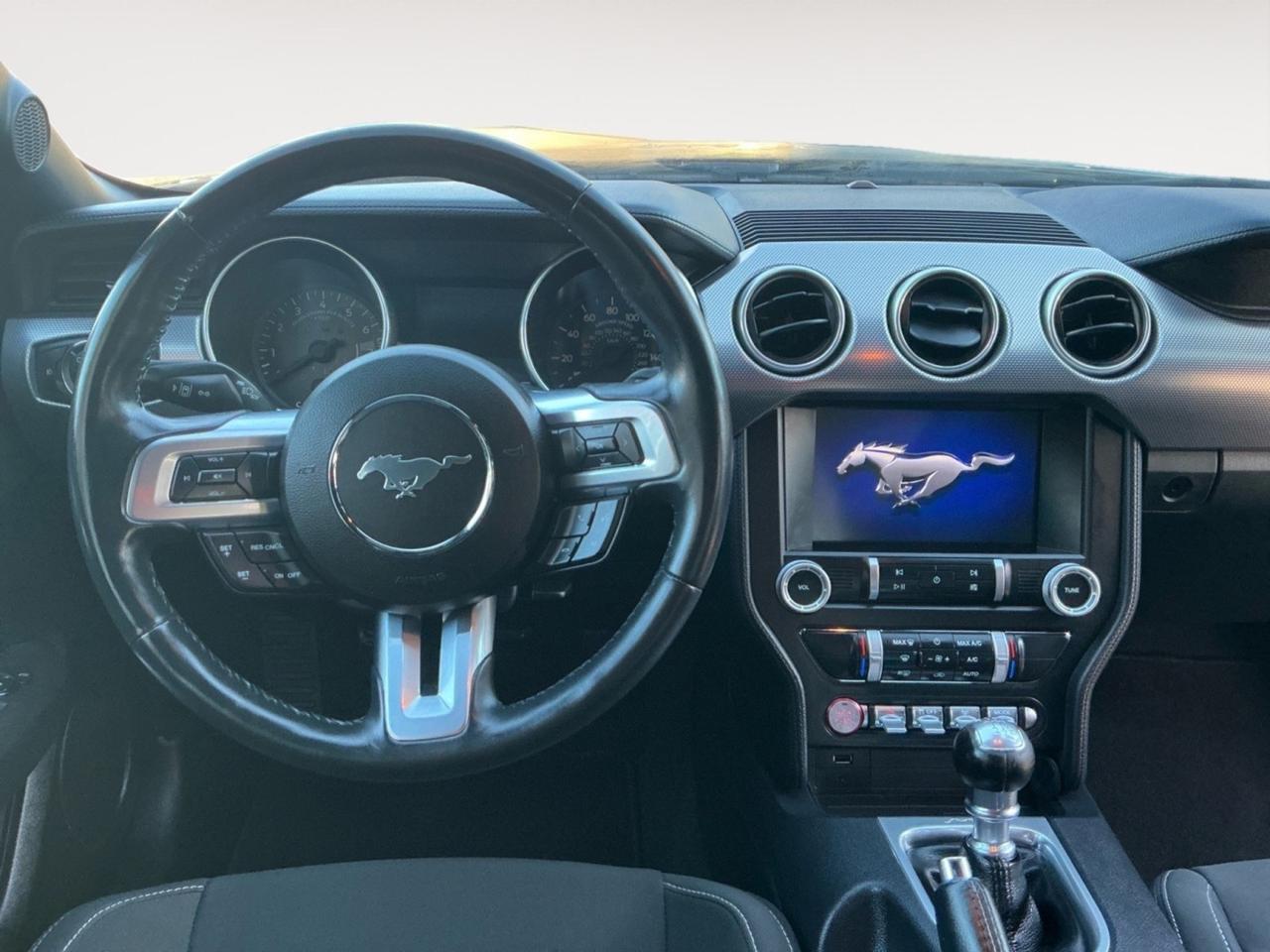 2021 Ford Mustang GT, APPLE CARPLAY/ANDROID AUTO, BACKUP CAMERA, POWER MIRRORS, REMOTE START, BLUETOOTH, CLEAN CARFAX, LOW MILES, MAKE YOUR DREAM OF OWNING A MUSTANG COME TRUE! Norfolk VA