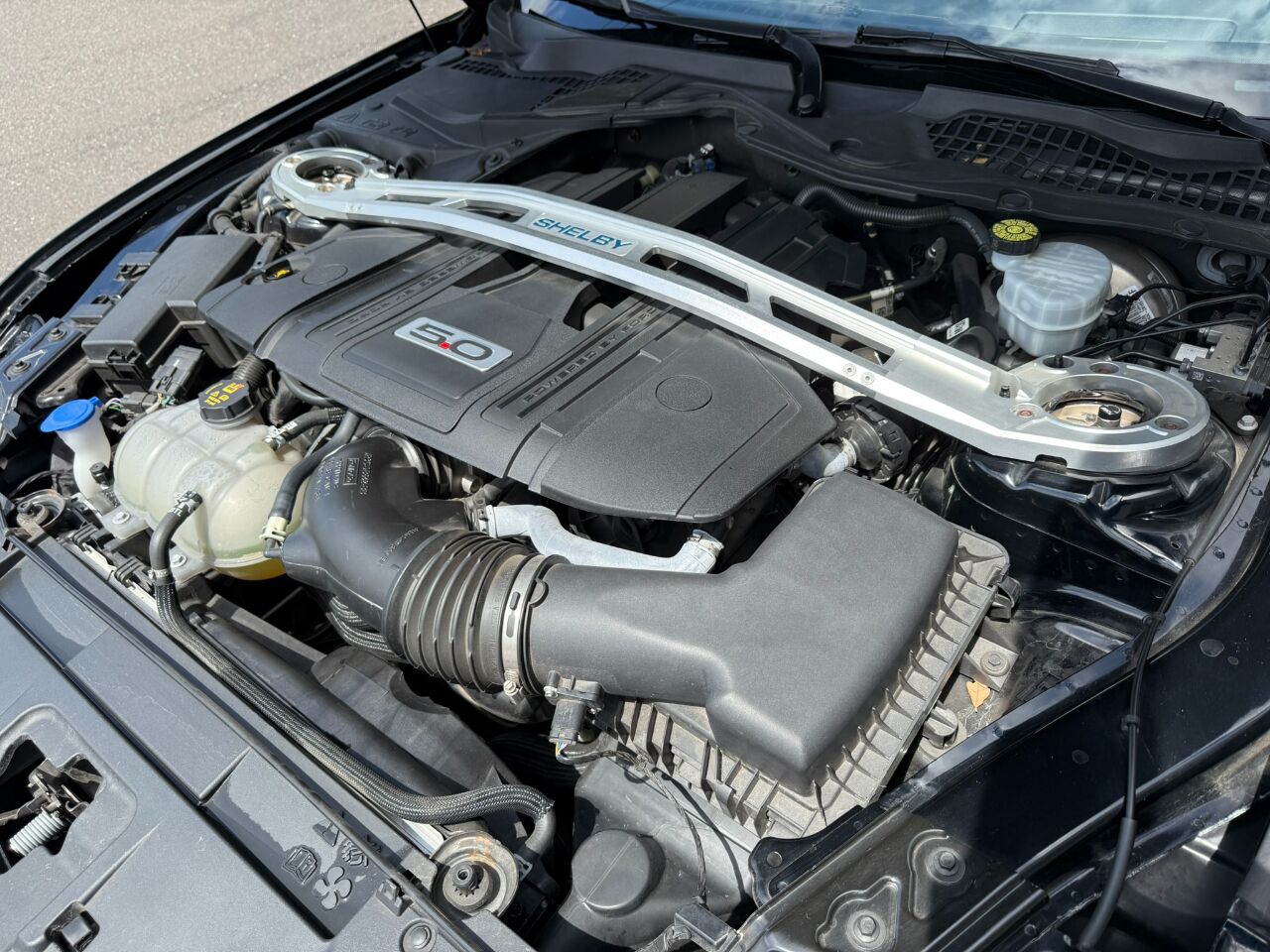 2021 Ford Mustang GT Fastback Jacksonville FL