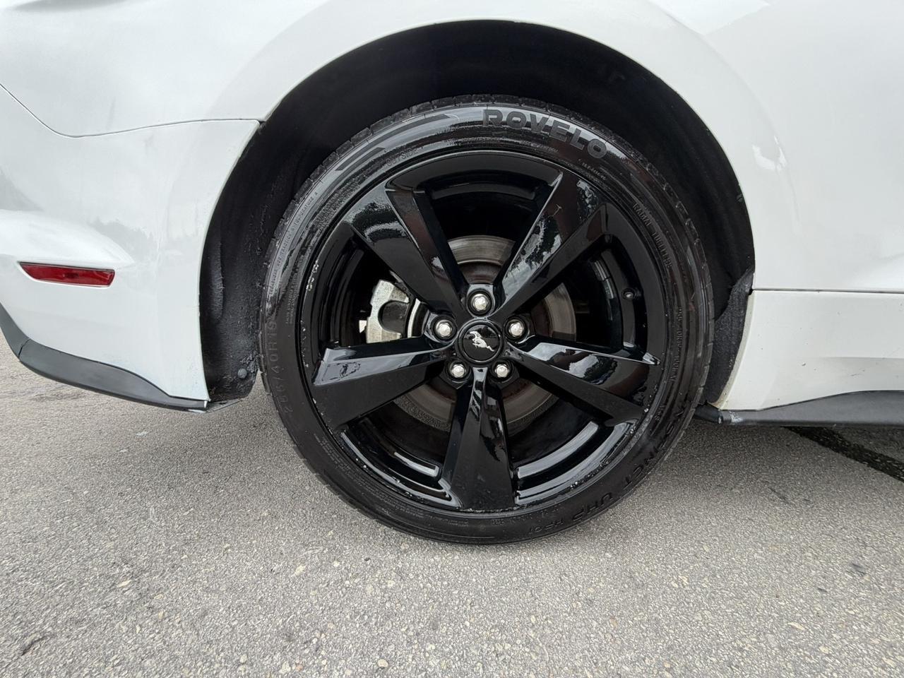 2021 Ford Mustang GT Miami FL