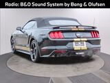 2021 Ford Mustang GT Premium Oshkosh WI
