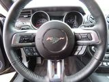2021 Ford Mustang GT Premium Oshkosh WI