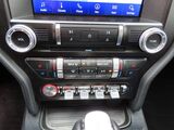 2021 Ford Mustang GT Premium Oshkosh WI