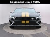 2021 Ford Mustang GT Premium Oshkosh WI