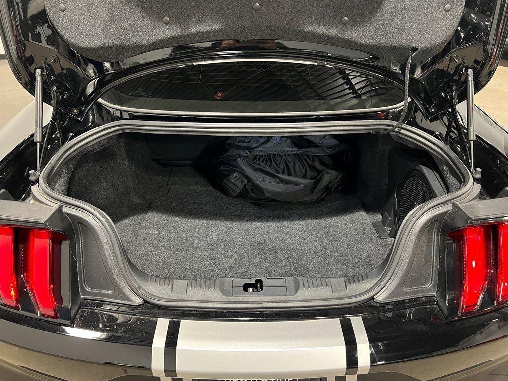 2021 Ford Mustang GT Premium Parker CO