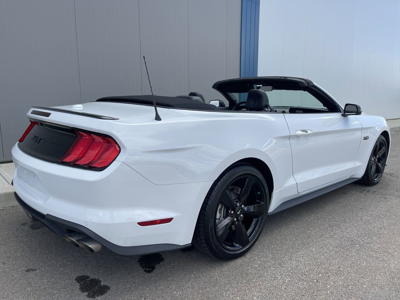 2021 Ford Mustang GT Premium Sherwood Park AB