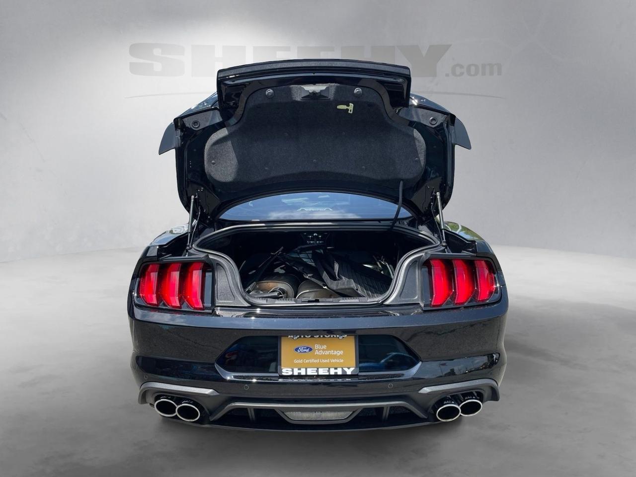 2021 Ford Mustang GT Premium Springfield VA
