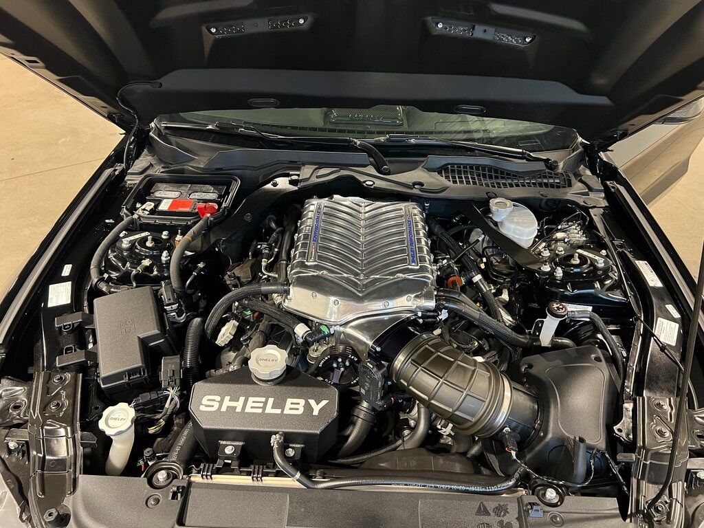 2021 Ford Mustang GT Shelby Super Snake Parker CO