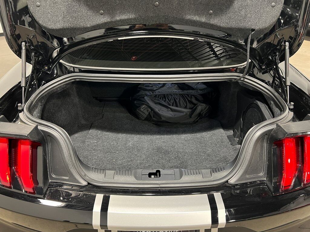 2021 Ford Mustang GT Shelby Super Snake Parker CO