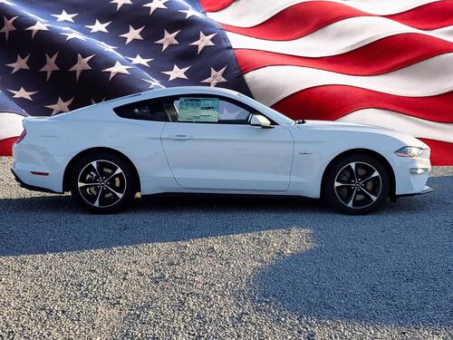 2021 Ford Mustang GT Tampa FL 2021 Ford Mustang GT Tampa FL