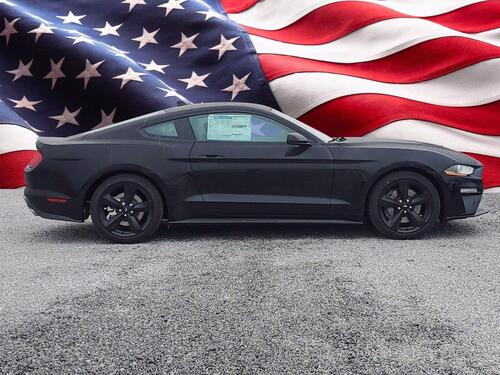 2021 Ford Mustang GT Tampa FL 2021 Ford Mustang GT Tampa FL
