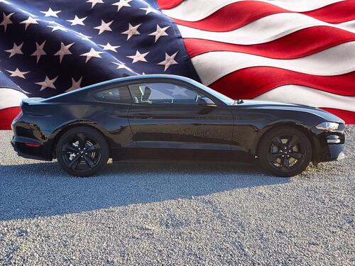 2021 Ford Mustang GT Tampa FL 2021 Ford Mustang GT Tampa FL
