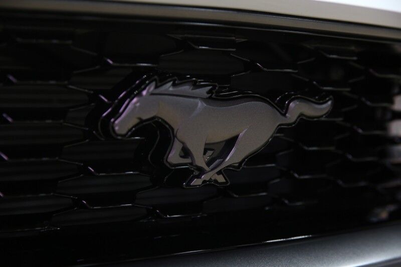 2021 Ford Mustang Mach 1 Plainview NY