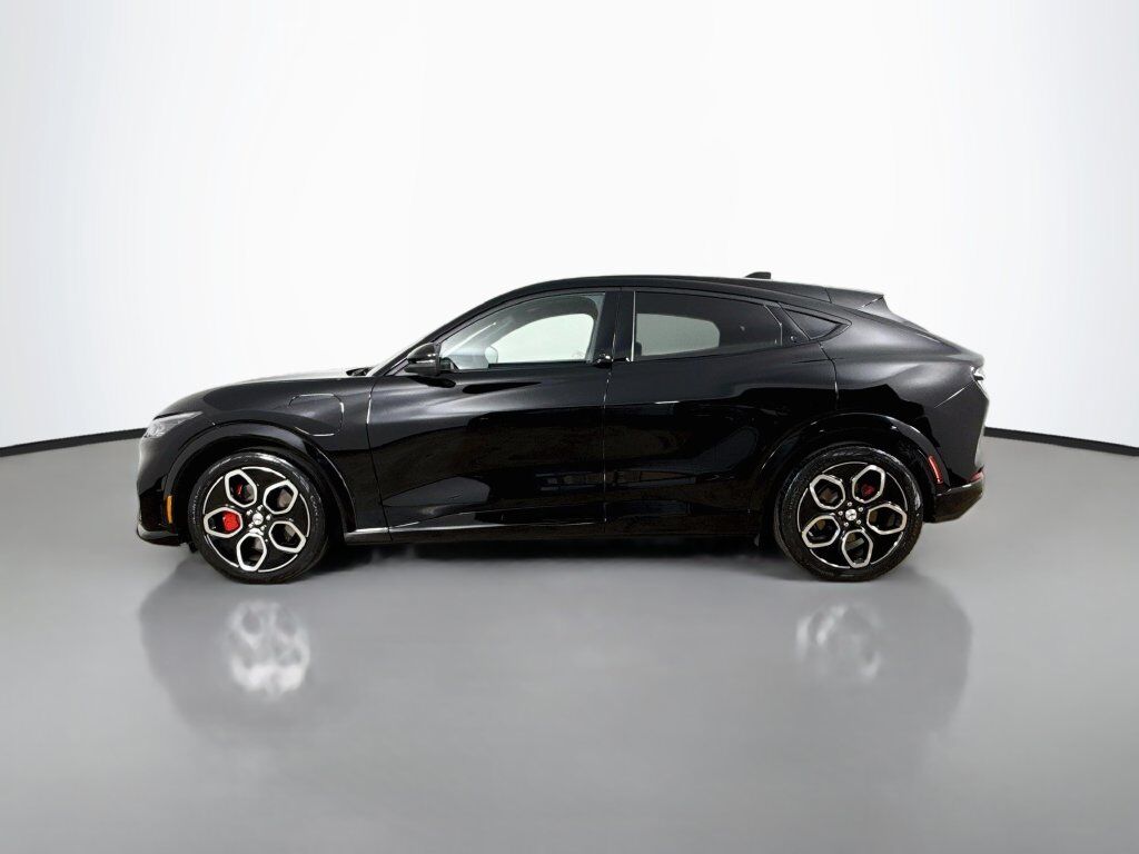 2021 Ford Mustang Mach-E GT Willowbrook IL