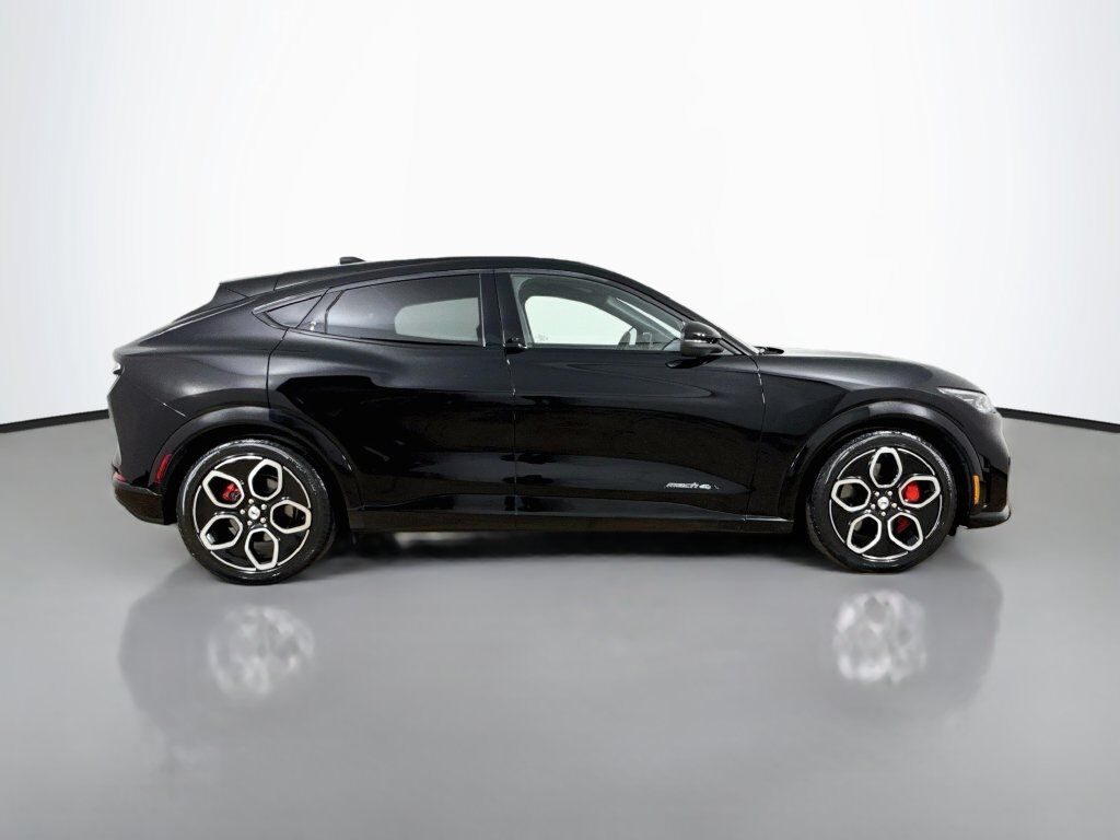 2021 Ford Mustang Mach-E GT Willowbrook IL