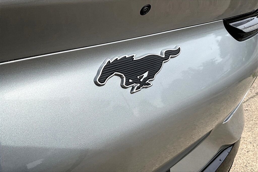 2021 Ford Mustang Mach-E Premium OR